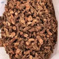 Dried Galangal Root