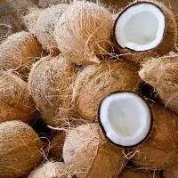 Semihusked Coconut