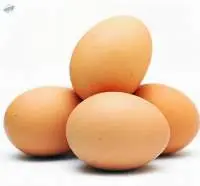 Fresh Table Eggs