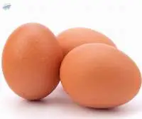 Fresh Chicken Table Eggs