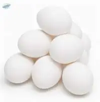 Organic Brown / Whiite Fresh Chicken Table Eggs