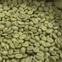 Green Arabica Coffee Beans