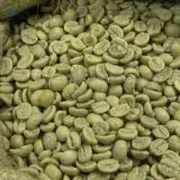 Arabica Green Coffee Bean