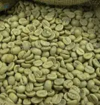 Robusta Green Coffee Bean