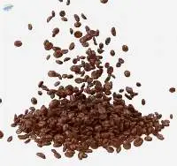 Arabica Coffee Bean