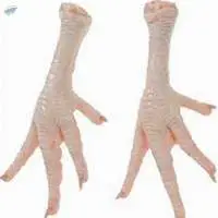 Halal Chicken Feet / Frozen Chicken Paws