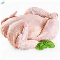 Frozen Chicken