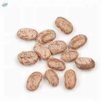 Organic Pinto Beans
