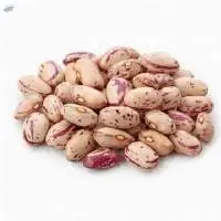 Pinto Kidney Beans