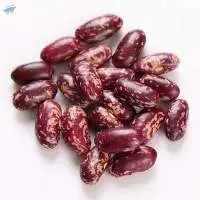 Organic Kidney Beans
