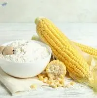 Corn Gloten Meal