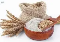 Gluten Free All Purpose Baking Flour