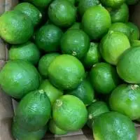Fresh Seedless Lime