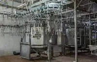 Automatic Chicken Slaughtering Plant