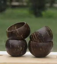 Coconut Shell Bowl