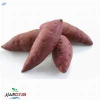 Sweet Potato