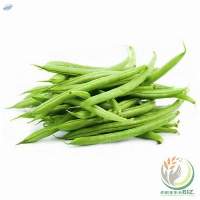 BEANS