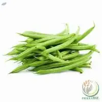 BEANS