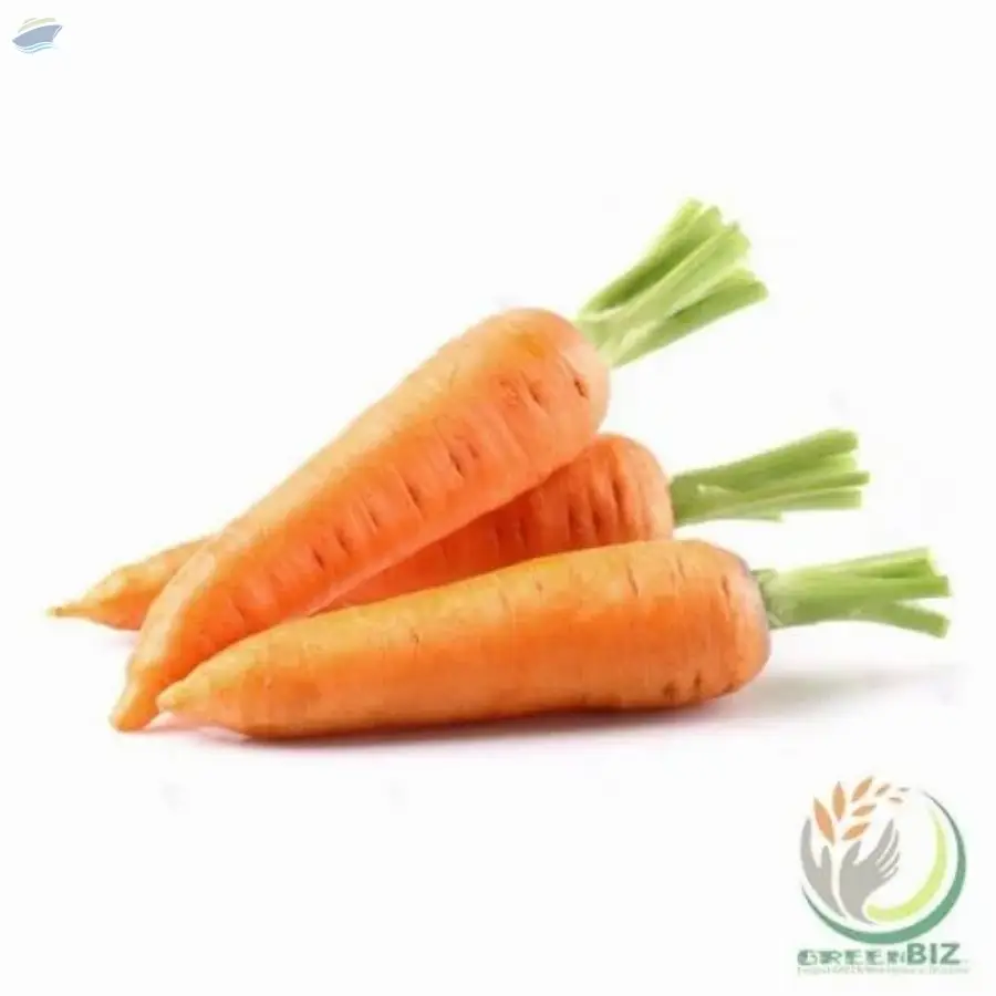 Carrot