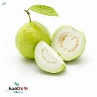 Guava