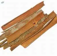 Split Cassia