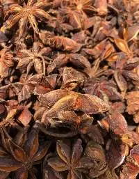 Autum Star Anise