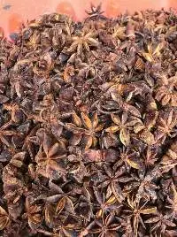 Spring Star Anise