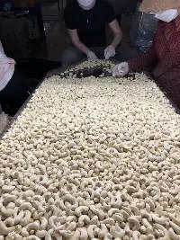 Cashew Nuts