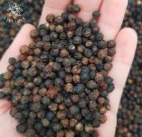 Black Pepper