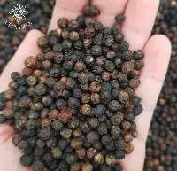 Black Pepper