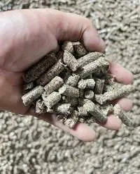 Biomass Briquette