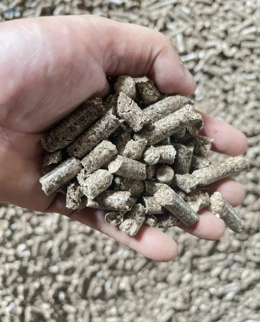 Biomass Briquette