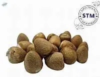 Betel Nut