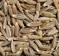 Cumin Seeds