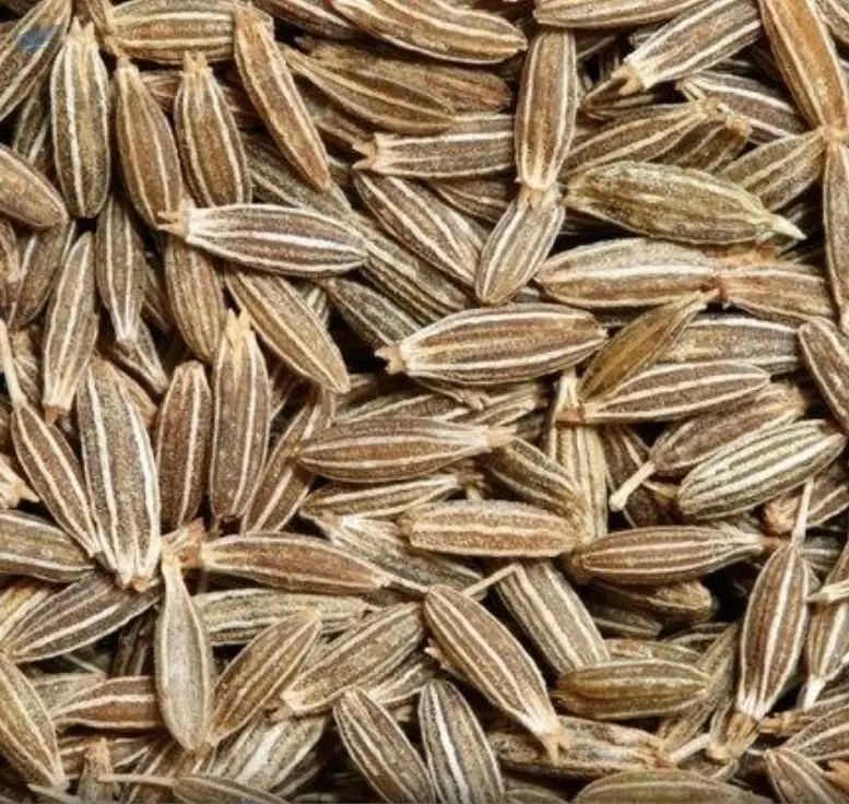 Cumin Seeds