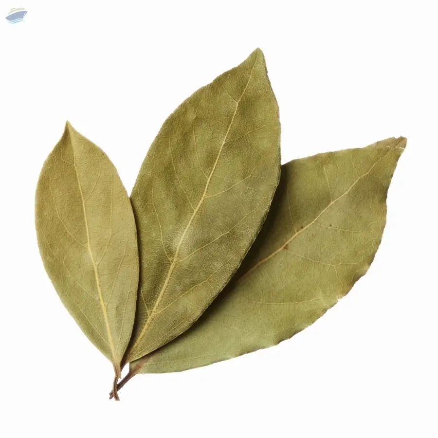Indian Bay Leaf by Ashoka Spices. Supplier from India. Product Id 1503251.