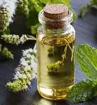 Peppermint Oil
