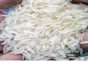 Premium 1121 Raw Basmati Rice Export Quality
