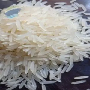 Premium 1509 Steam Basmati Rice Export Quality 