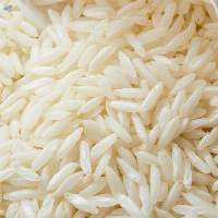 Premium 1401 Steam Basmati Rice Export Quality 