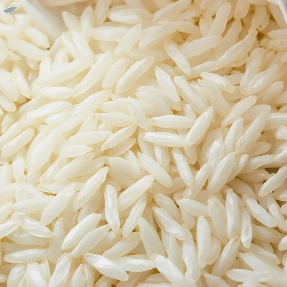 Premium 1401 Steam Basmati Rice Export Quality 