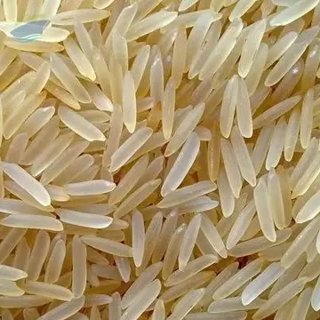 Premium 1401 Golden Sella Basmati Rice Export Qu