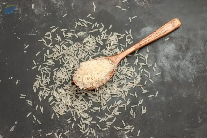Premium 5% Broken Parboiled Rice Export Quality 