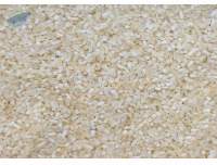 Common 100% Broken Parboiled Rice