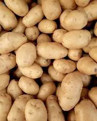 Potatoes