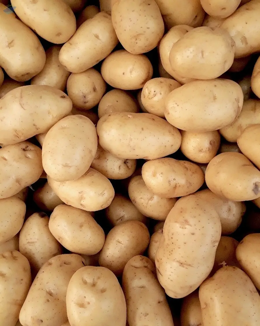 Potatoes