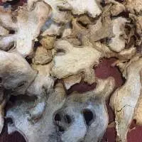 Dried Ginger