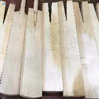 Hand Crafted Grade A English Willow Cricket Bat