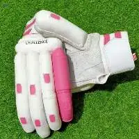 Challenge Cricket Batting Gloves