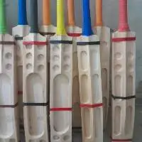 Kashmiri willow scooped bat